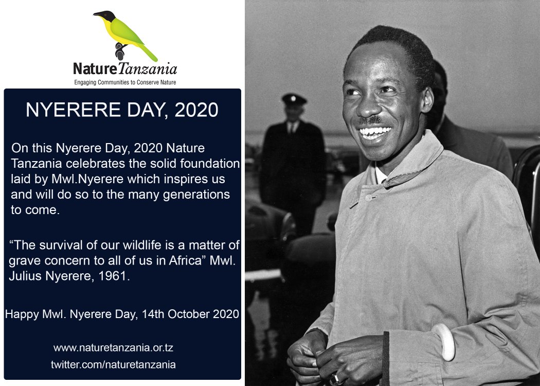 Today, 14th October 2020, is Nyerere Day, a public holiday in Tanzania. Our offices remain closed and we will resume back to work tomorrow 15th October 2020. @BirdLifeAfrica @NatureUganda @Nature_Kenya
