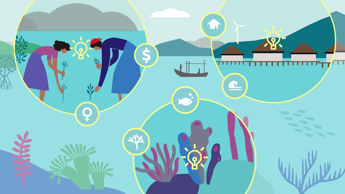 The #OceanResilienceInnovationChallenge is here! Are you working on #finance and #insurance innovations to build coastal resilience and reduce #oceanrisk? Winners will receive a package of mentoring and support + connections to partners and funders: oceanriskalliance.org/innovation-cha… #ORRAA