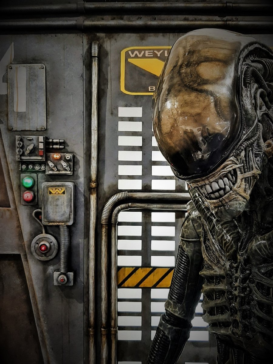 Good Morning!!

#replicasdecinemalaga #alienexperience #alienlifesize #alien #expoalien