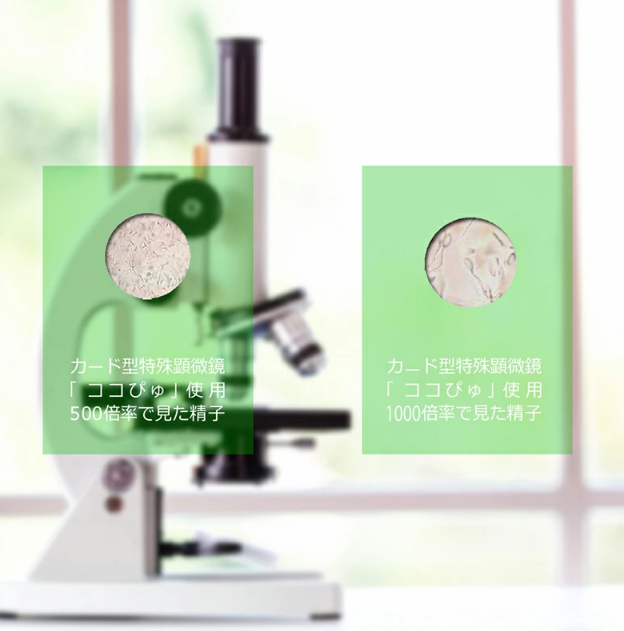 匠ワールド通販 カード型特殊顕微鏡 ココぴゅ 500倍率 1000倍率のレンズ搭載 お手軽精子検査キットです 500倍率では精子の数を見ることが出来 1000倍率だと 精子の形まで見ることができます 気になる方に使って頂きたい自宅で簡単精子検査