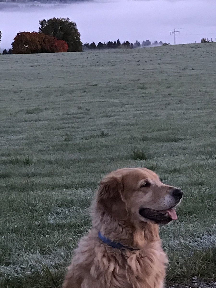 Martin Ilkov (@cosatto) on Twitter photo 