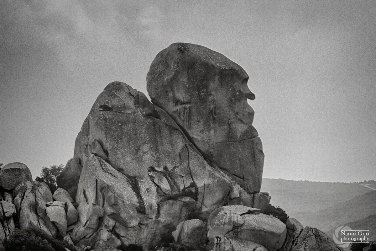 OnoNanni's tweet image. The hunchback. #sardinia #gallura #aggius #tempio #landscape #nature #photography #photographer #naturesculpture #earth #travel #sardegna #blackandwhite