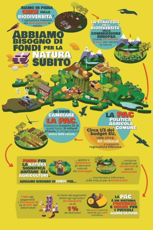 info_terrefrume's tweet photo. Il #futureofcap deve essere uno dei motori del #greendeal e non remare in direzione opposta. Gli emendamenti di compromesso devono essere evitati @ale_moretti @simonabonafe @pinapic siate parte del cambiamento e non del passato https://t.co/eYDtSMYwjN