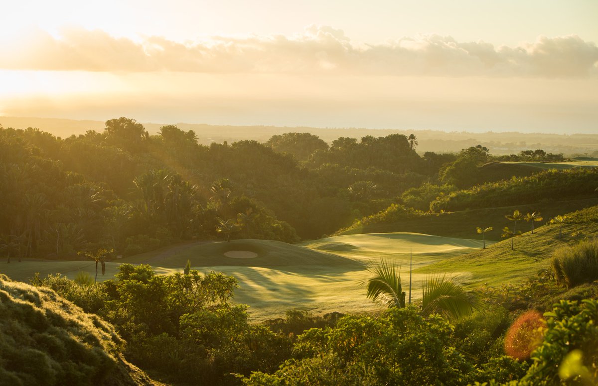 Avalon golf Estate is more than just a golf... It is a place in the heart of nature with a magnificent natural setting. 

A place where golfers can play to their heart's content 🏌️‍♂️