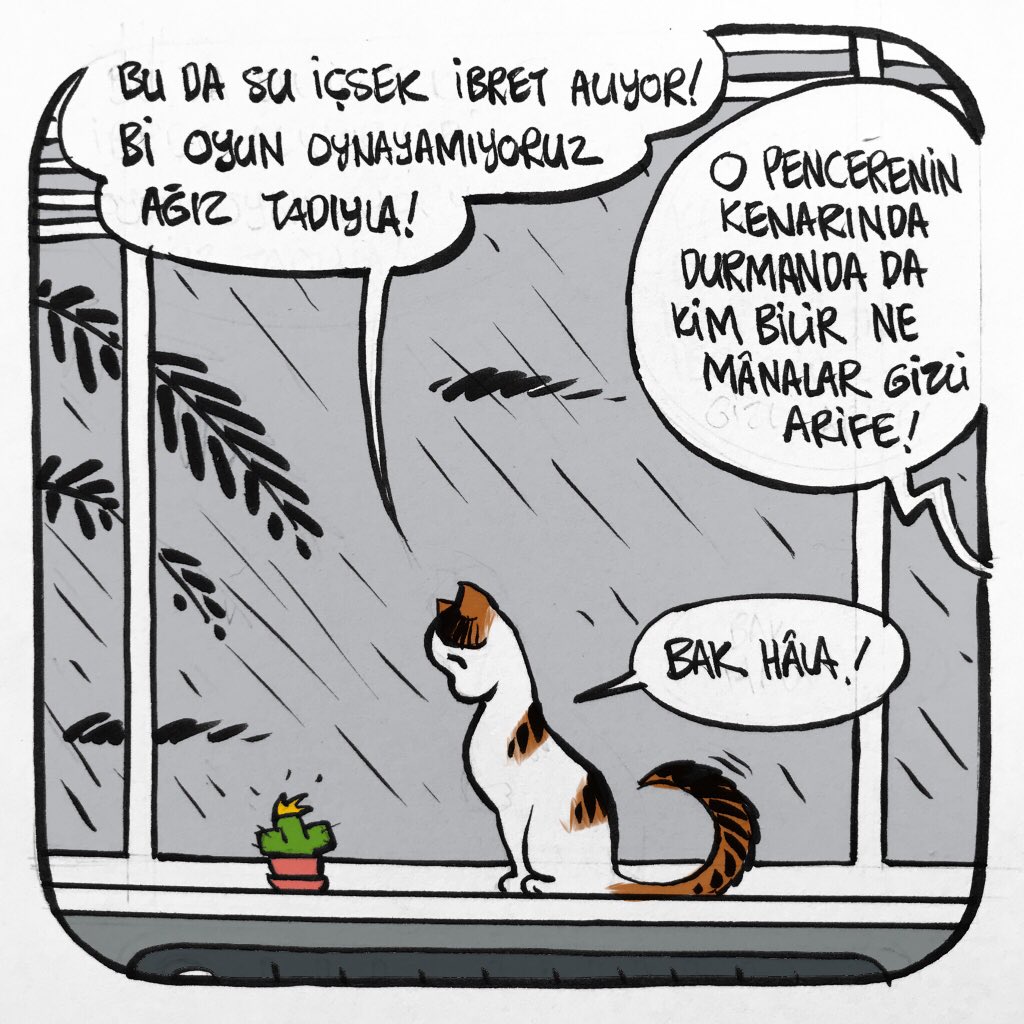 ‘İnsanın da kuyruğu geçmişi...’