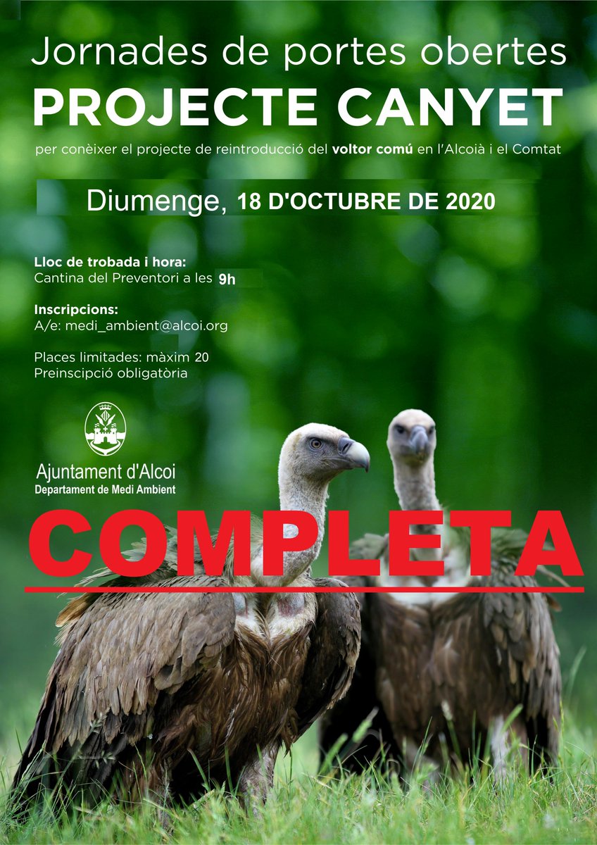 AlcoiMedi's tweet photo. Inscripció del 18 d'octubre completa 💯x💯!!! Per favor, no envieu més sol·licituds! Espereu a una nova edició!
#Alcoi #Alcoy #ProjecteCanyet #voltors @AjuntamentAlcoi https://t.co/w4l9ZVBxnf