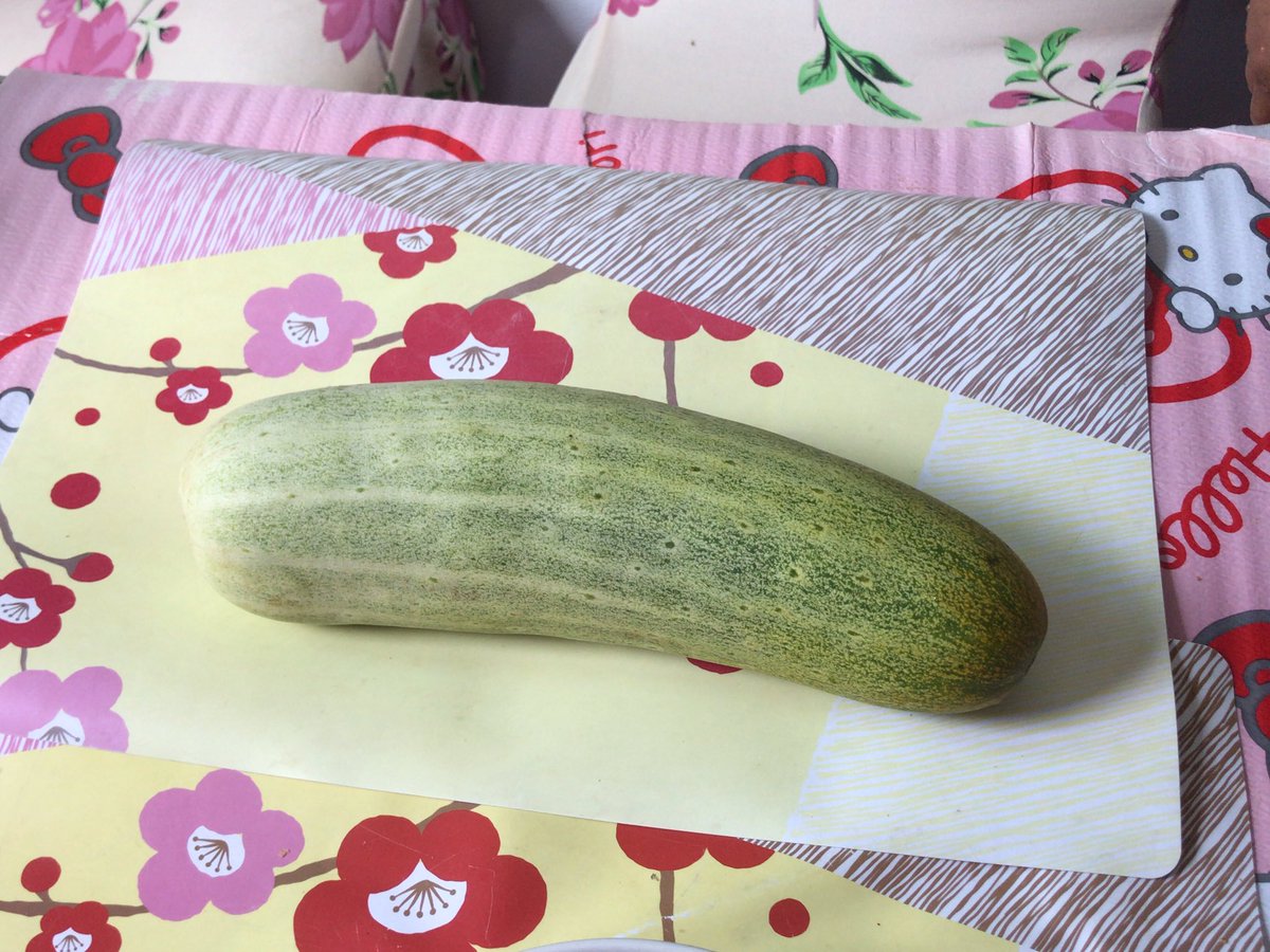 タイソムタムセブン Japanese Man 今朝の早朝市場で買ったビッグなキュウリです こんなにビッグなキュウリを見るのは 初めてです 値段は 1本10バーツ 日本円で 約34円です とても安いです タイソムタムセブン Japanese Man 今朝の早朝市場で買ったビッグなキュウリです こんなにビッグなキュウリを見るのは 初めてです 値段は 1本10バーツ 日本円で 約34円です とても安いです
