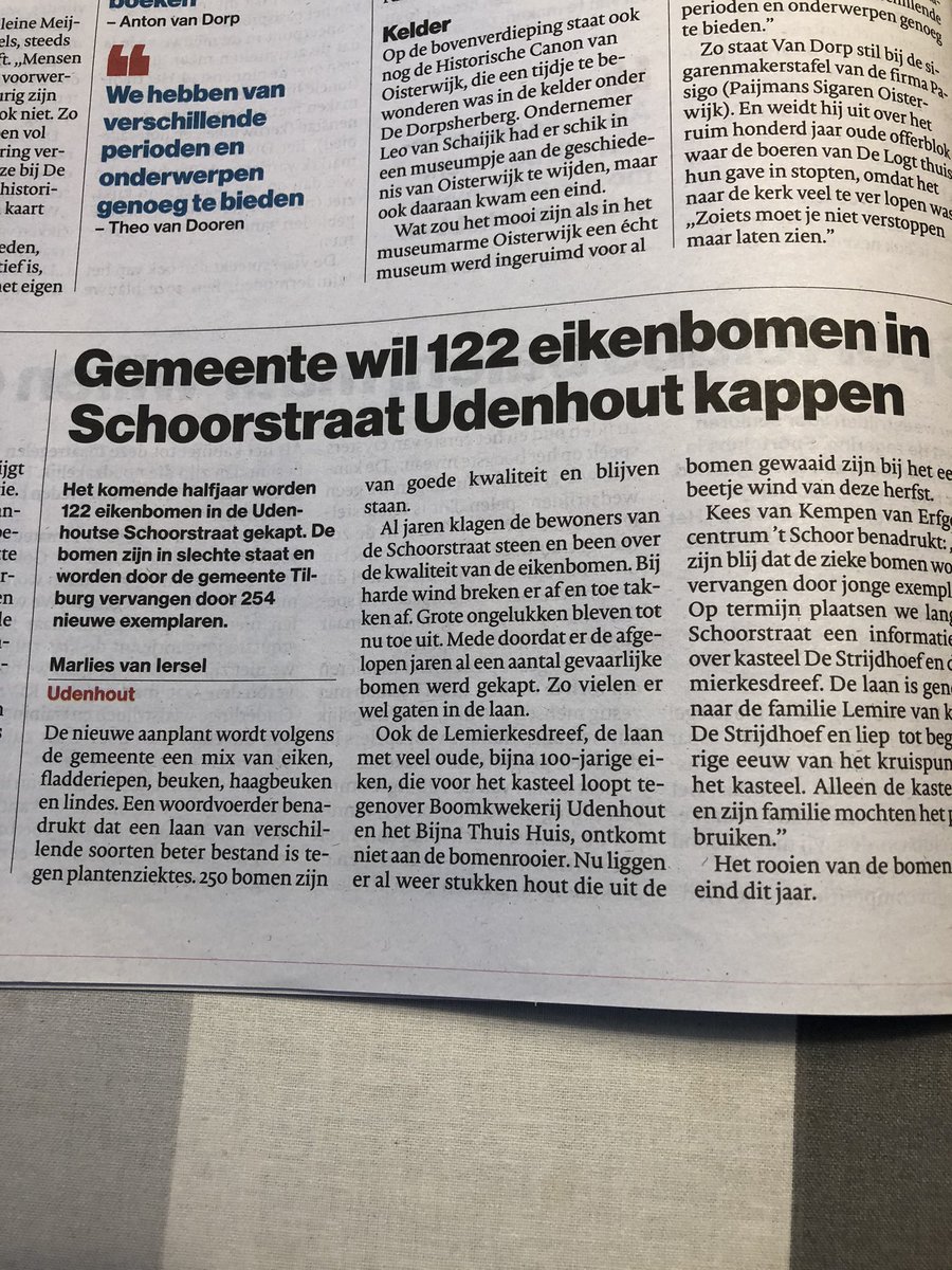 Udenhouters, wandel nog eens door de Schoorstraat voordat de bomen gekapt worden! #udenhout Udenhout