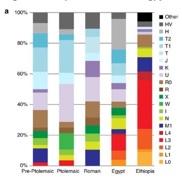 On voit sur ce graphique que la proportion d'ADN subsaharien (éthiopien utilisé ici comme élément de comparaison) est restée insignifiante durant l'Antiquité.