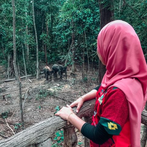 TrgTourism's tweet photo. Terima Kasih kepada Puan @yayarose di atas perkongsian pengalaman di Kenyir Elephant Conservation Village (KECV) yang merupakan tempat pemuliharaan gajah di Tasik Kenyir, Hulu Terengganu, Terengganu.
#KenyirElephantConservationVillage #KECV
#Kluster #TasikKenyir #Terengganu https://t.co/gjwWBUP9np