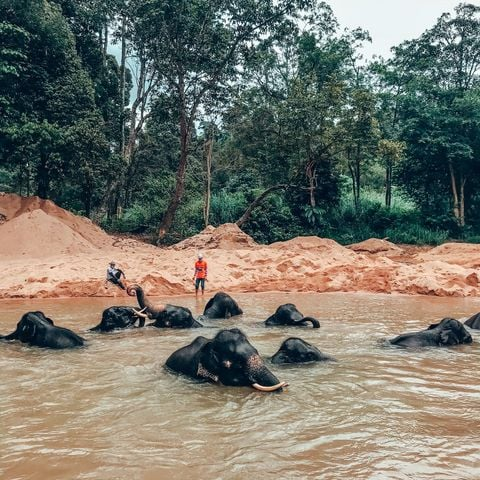 TrgTourism's tweet photo. Terima Kasih kepada Puan @yayarose di atas perkongsian pengalaman di Kenyir Elephant Conservation Village (KECV) yang merupakan tempat pemuliharaan gajah di Tasik Kenyir, Hulu Terengganu, Terengganu.
#KenyirElephantConservationVillage #KECV
#Kluster #TasikKenyir #Terengganu https://t.co/gjwWBUP9np