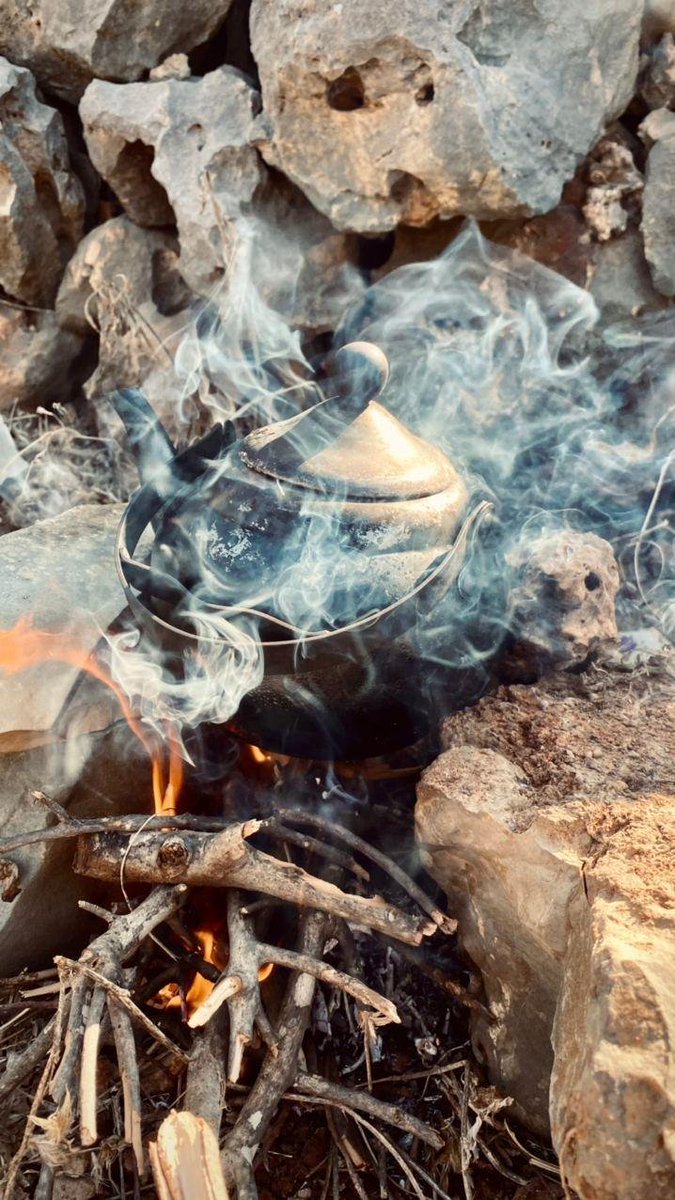 WeAreNotNumbers's tweet photo. And from our beautiful #Gaza we say good morning to our beautiful #WestBank, and to the rest of our beautiful, occupied #Palestine! Tea made on firewood, fried tomatoes, olives, Zaatar (Manaqeesh), and cheese are all components of our yummy #Palestinian #breakfast! ❤️ https://t.co/20Al3bc2GF