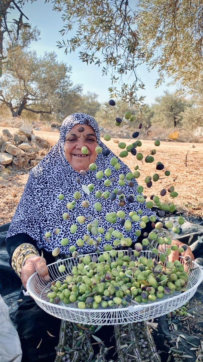WeAreNotNumbers's tweet photo. And from our beautiful #Gaza we say good morning to our beautiful #WestBank, and to the rest of our beautiful, occupied #Palestine! Tea made on firewood, fried tomatoes, olives, Zaatar (Manaqeesh), and cheese are all components of our yummy #Palestinian #breakfast! ❤️ https://t.co/20Al3bc2GF