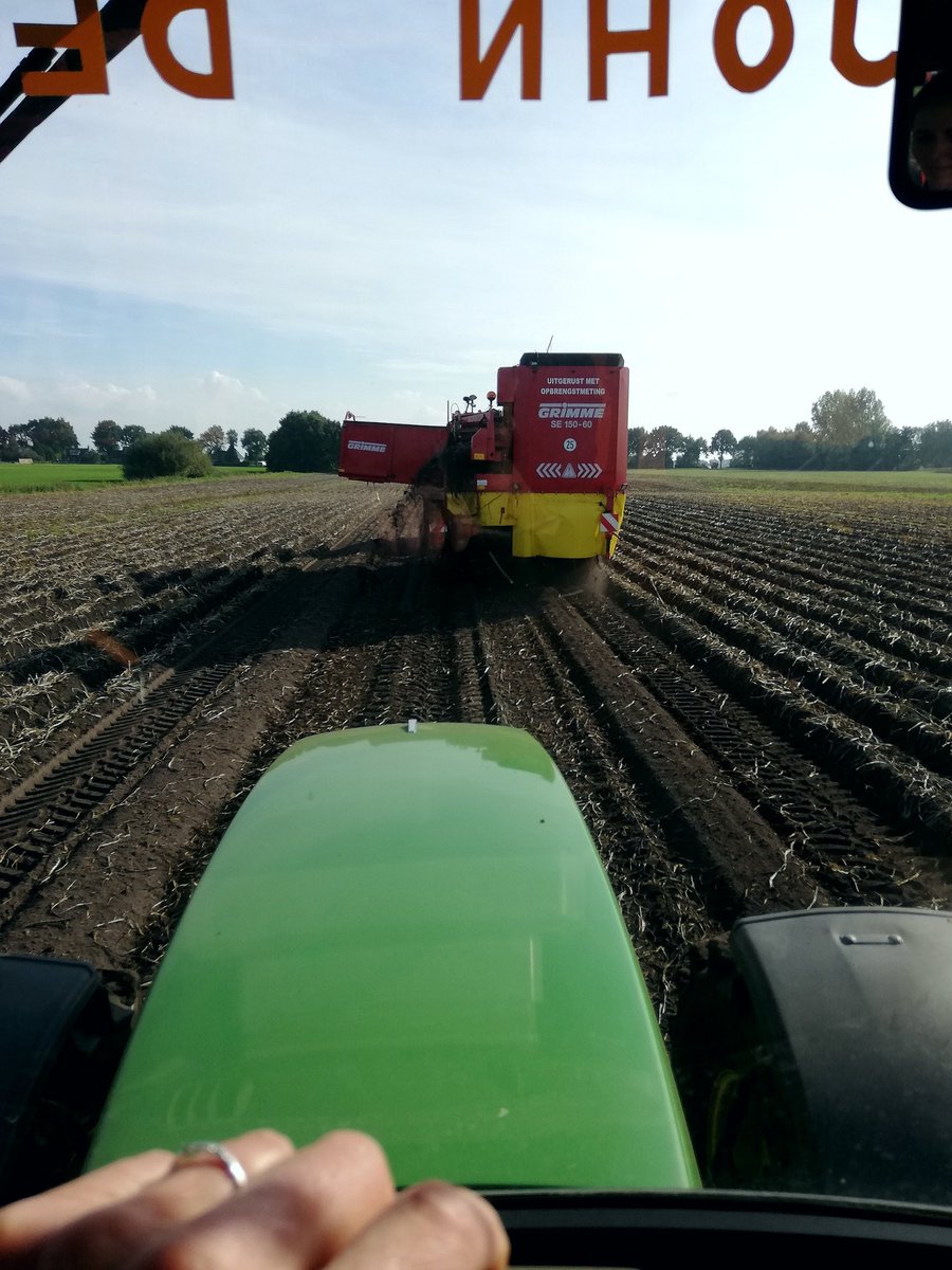 Seresta's rooien voor @Avebe_group onder mooie weersomstandigheden. Deze aardappelen gaan volgende week naar de fabriek om verwerkt te worden.