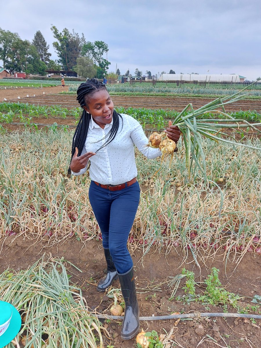 Beauty K Magiya tweet media