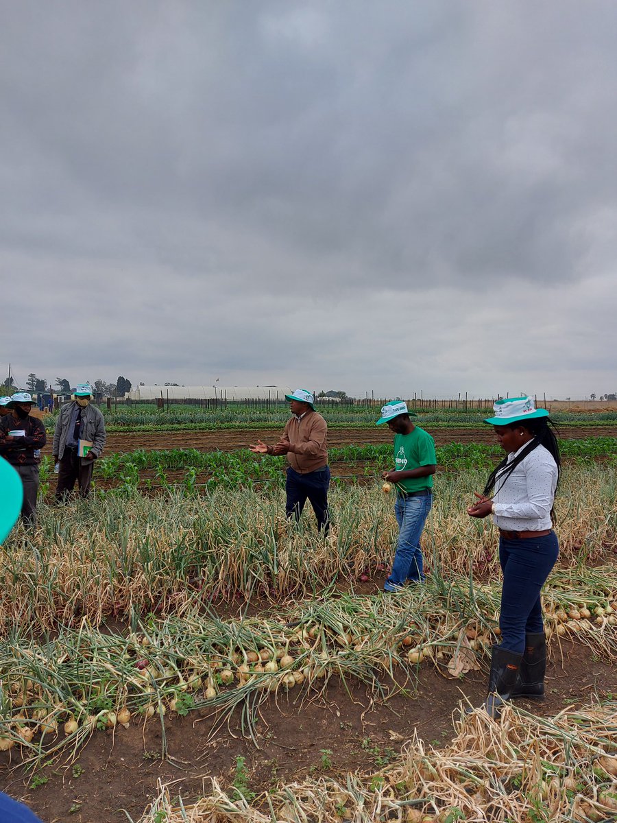 Beauty K Magiya tweet media