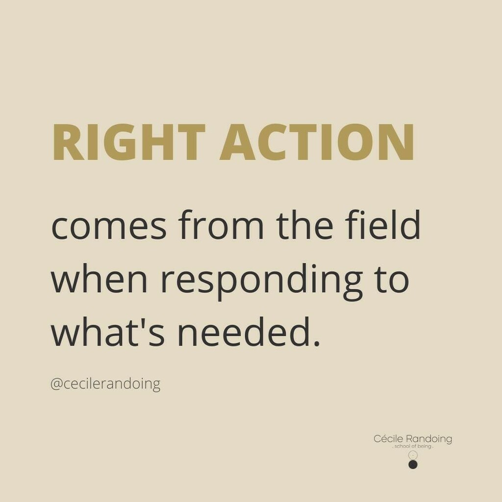 CecileRandoing's tweet photo. No need to overthink it, plan, overanalyze it, worry about it ... your next right action is there in the energetic field waiting for you to ask the question what's needed.
Trust, dream, observe, act!
#selfauthoring #selfauthorship #selfmastery #responsi… https://t.co/iaPKegUJk7 https://t.co/wDeZsy6421