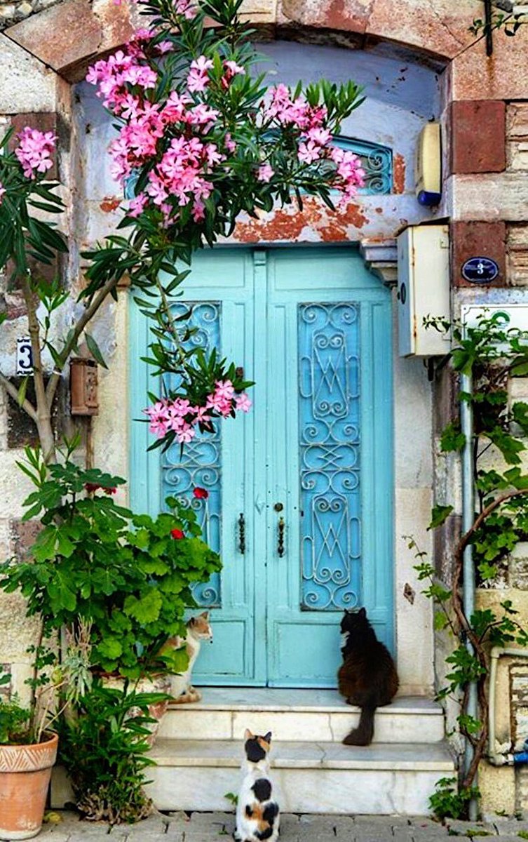moraimauy's tweet photo. #colorfulMorning 🎨 https://t.co/eW2Y1jVImU