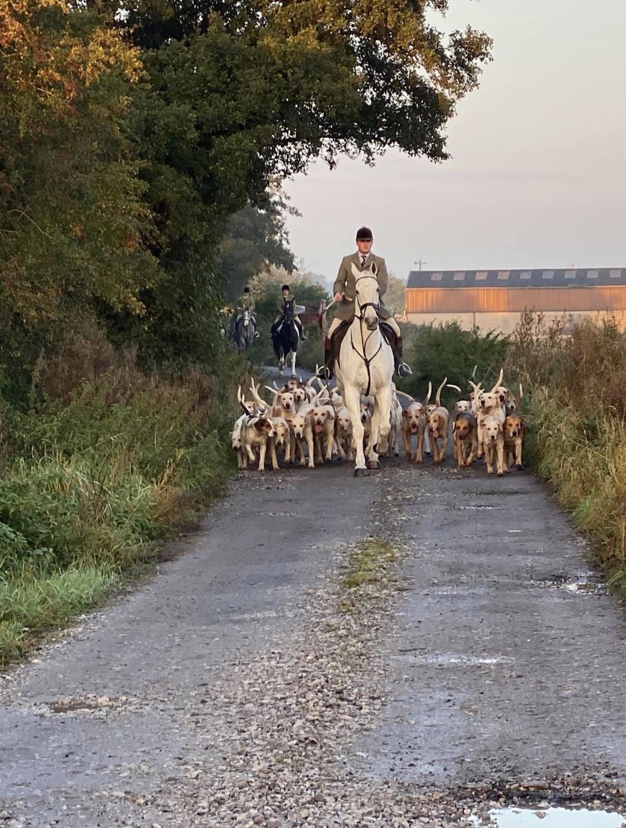 **Hunt Alert Cheshire Forest Little Barrow **
