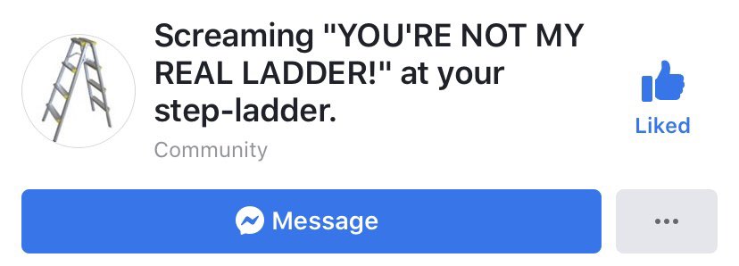 Screaming “YOU’RE NOT MY REAL LADDER!” at your step-ladder is apparently a joke teenage-me was tickled by.