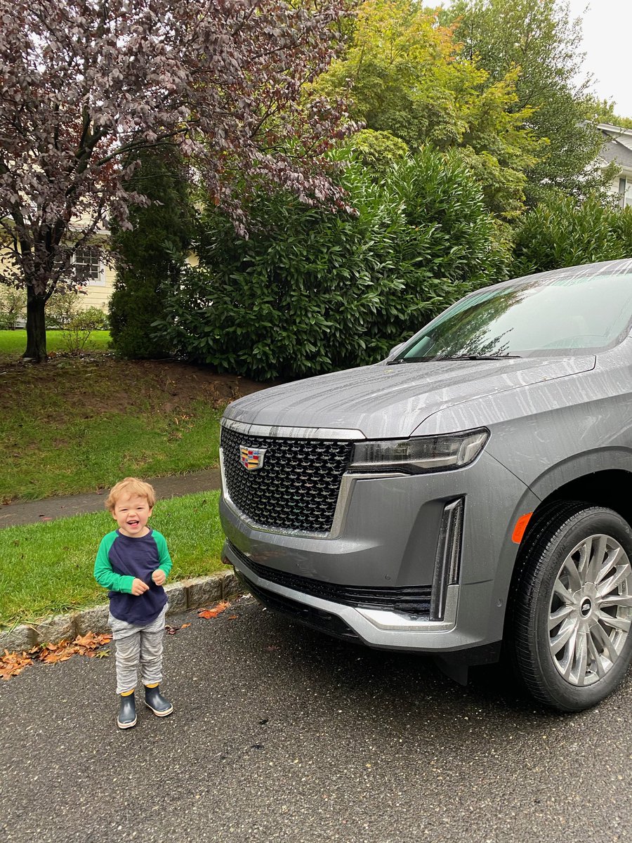 StripyMoggie's tweet photo. Our car gods demand child sacrifices. https://t.co/GLW5lbtX8O
