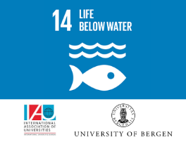 📢Call for papers: #highereducation engages with #SDG14: Life below water🌊🌍

<a href="/SDGbergen/">The Ocean</a> &amp; <a href="/IAU_AIU/">International Association of Universities (IAU)</a> invite experts to contribute to show the broad range of #ocean initiatives globally. 

Find more information here:
▶️bit.ly/2GTibHb

#oceandecade #IAUClusterSDGs #SDGs
