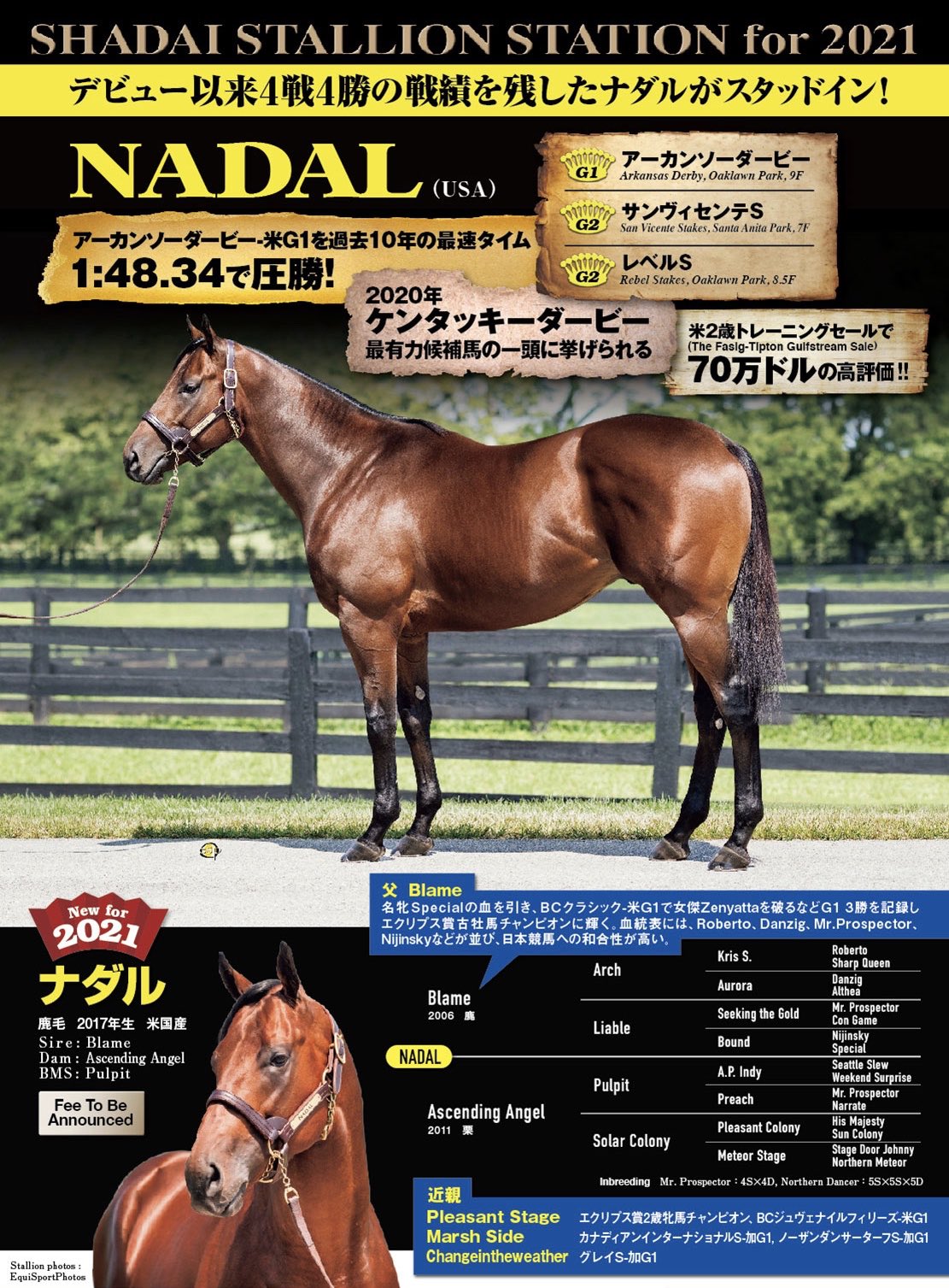 Arthur Hoyeau Breaking News Best Of Luck To Nadal In Japan Standing At Shadai Stallion Station From 21 Let S Hope He Is The Next Sunday Silence See You