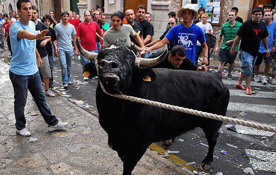 MasMadrid__'s tweet photo. El toro ensogado y el toro embolado son festejos extremadamente crueles que llevan más de 20 años prohibidos en la Comunidad de Madrid.

Ahora Ayuso quiere traerlos a nuestra región, autorizándolos en el Reglamento de Festejos Taurinos. 

Nos oponemos a este retroceso inaceptable https://t.co/EPayLMaBiQ