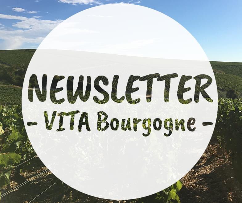 VITA Bourgogne tweet media