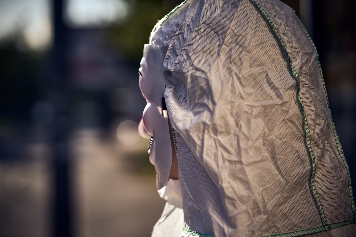 DIE BÜHNE DD tweet media