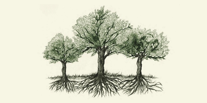 Emancipating Information Architecture - "I hope to free information architecture from the shackles I helped to forge." semanticstudios.com/emancipating-i…