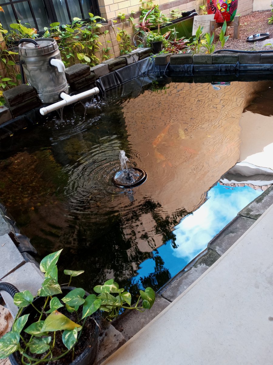 Mrs. Melinda Kimball (RTOY) of Horizon Academy at Marion Oaks engages students in learning about Ag Science while adding to the beautification of their campus.  #Awesome Teacher!  #Go Hawks! <a href="/theREALDonMaier/">Don Maier</a> <a href="/CTEmarion/">Marion County CTE</a>