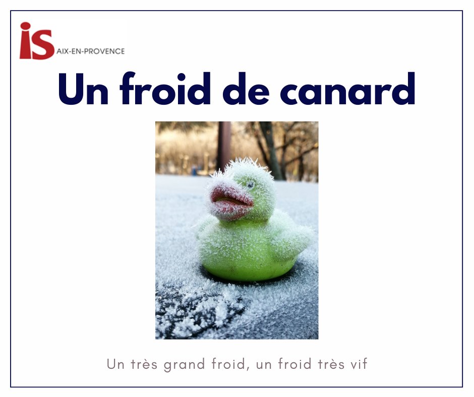 ISAixProvence's tweet image. #expression du jour: "Un froid de canard." ❄️☃️💨
👉 Cliquez sur la photo pour découvrir la signification 

On peut aussi dire "un froid de gueux" ou "un froid de tous les diables"

#learnfrench #apprendrelefrançais #speakfrench #speakfrenchinaix #speakfrenchinfrance #FLE #France