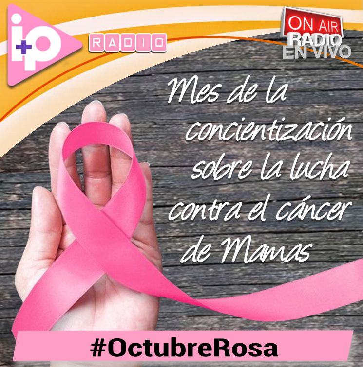 IP Televisión Digital tweet media