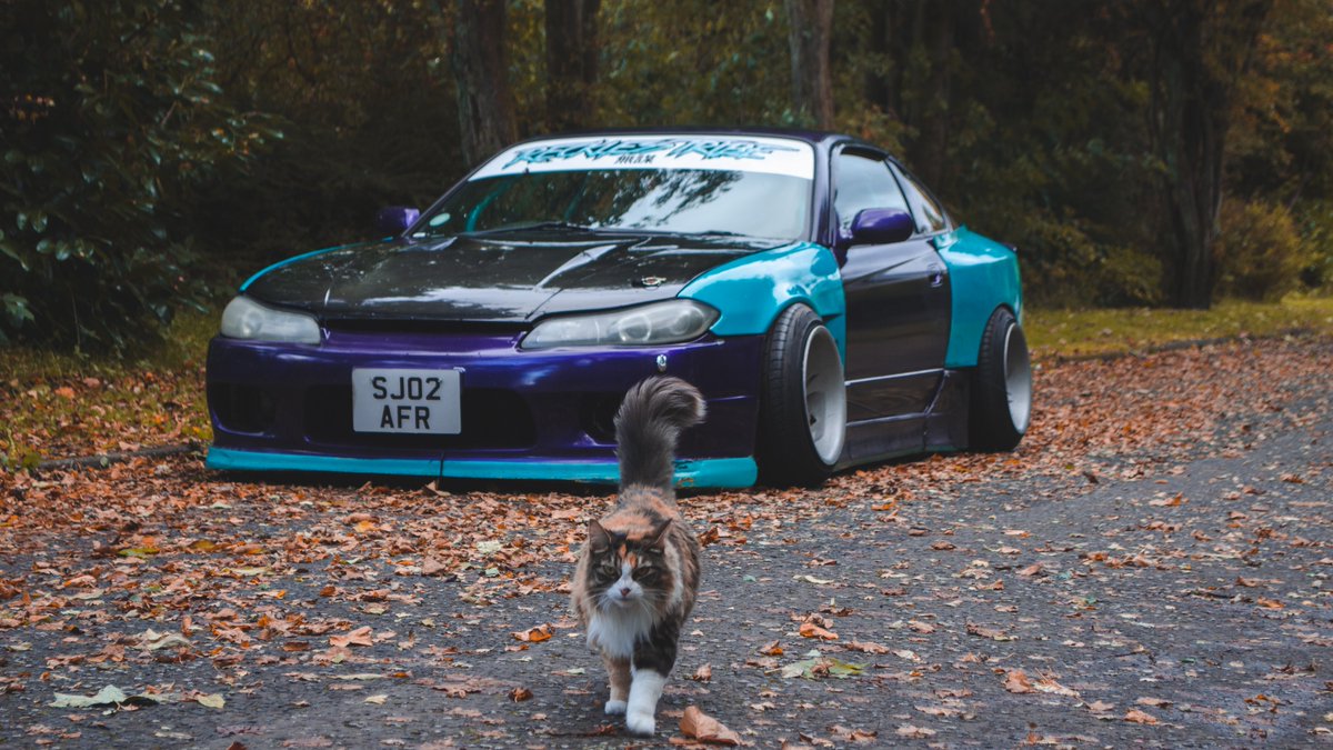 RecklessTribe's tweet photo. Twitter can see it first, went out to take some photos to post during the week and go for an explore with Robyn.

Also thanks again for all the orders, I honestly can't thank you all enough. 

https://t.co/DKHW05DsRM https://t.co/j42CAOwqLl