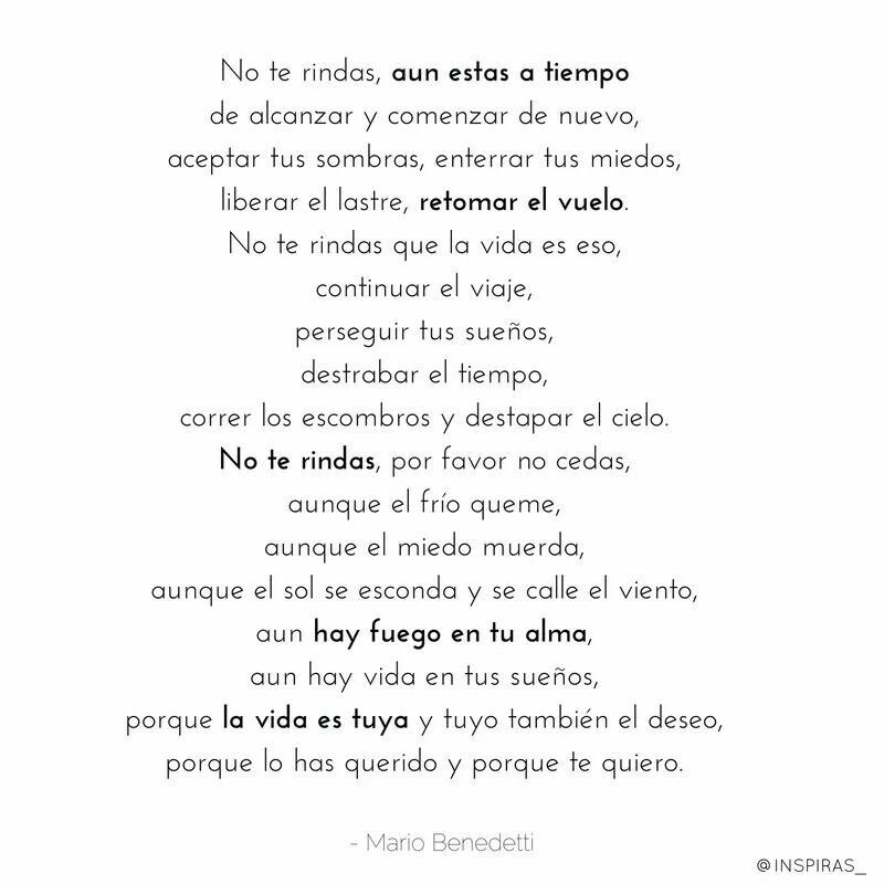 mathiaspintom's tweet photo. 👆🏼 https://t.co/XOe8AdkN05