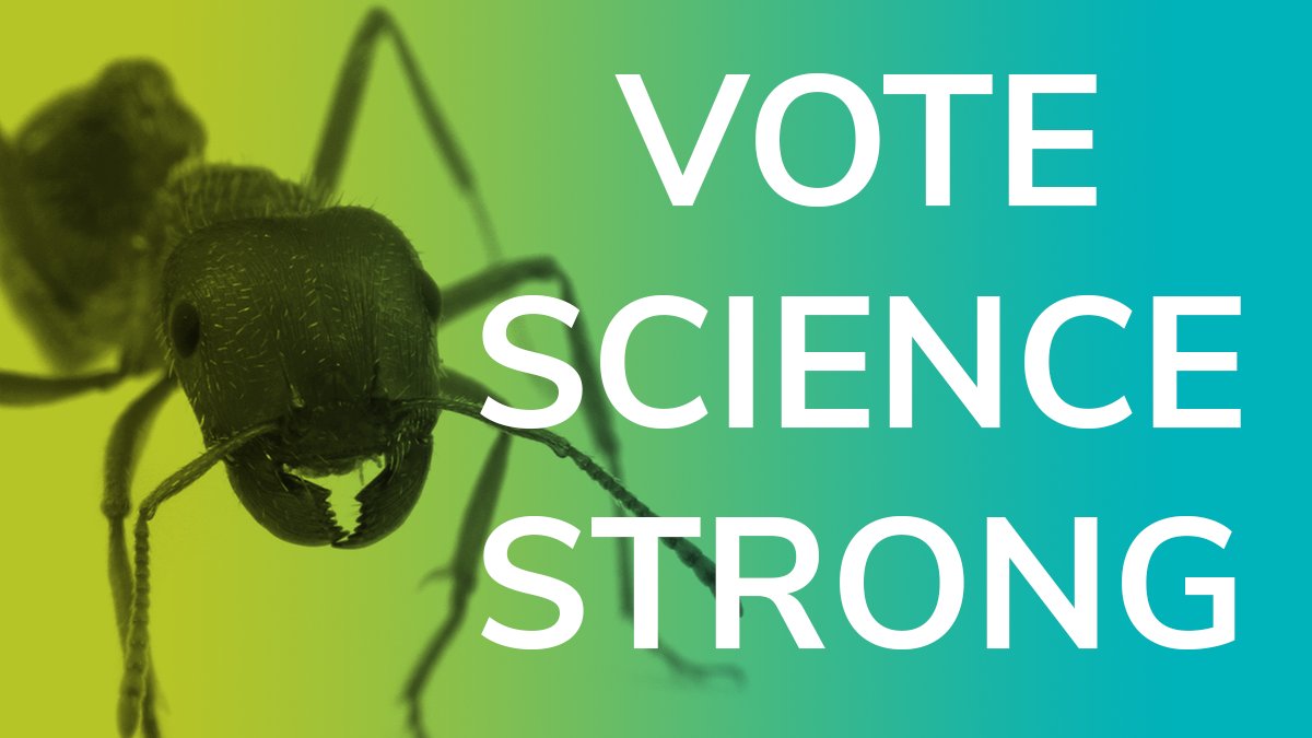 EntsocAmerica's tweet photo. Climate change will increase migration of invasive species that pose threats to public health, agriculture, and insect biodiversity. Ask your candidates: What steps will you take to mitigate these issues? #VoteScienceStrong #swarm4science #EntVocate20 https://t.co/WDX27n0fey https://t.co/yCY2AD0C3L