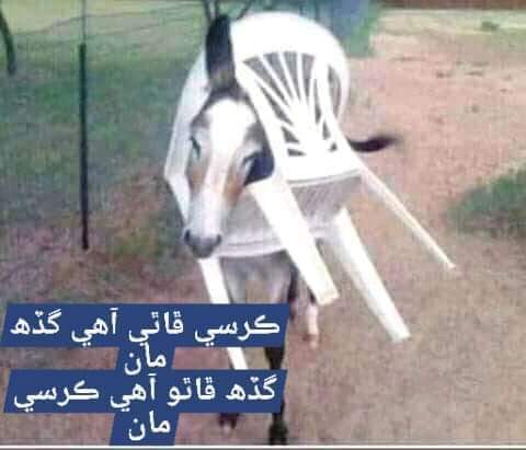 mersadambalhro1's tweet photo. غير سياسي پوسٽ😂😂😀🤗 https://t.co/aPN8DgiuOV