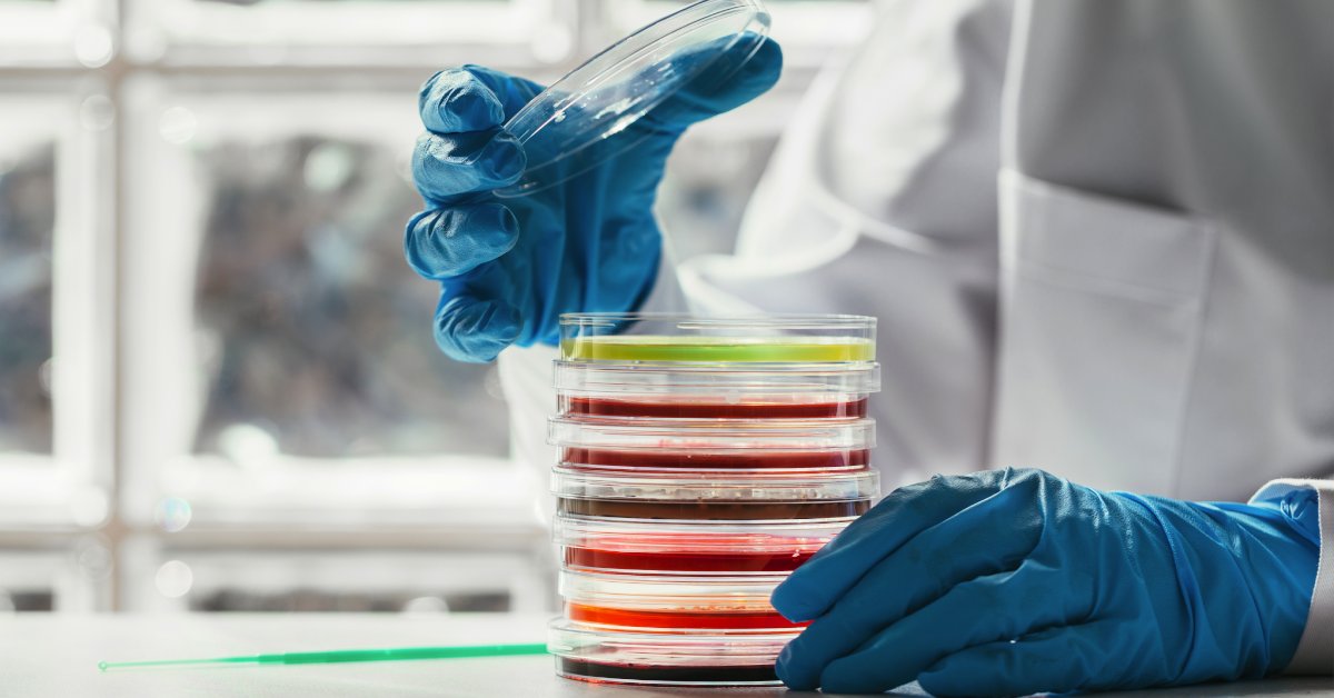 LGCAXIO's tweet photo. We are a provider of schemes for the #food and #feed industries, counting many of the top 20 global food businesses as customers on our routine schemes or managed Proficiency Testing solutions at LGC AXIO. #LGCStandards #FoodSafety
https://t.co/wAK0VejULm https://t.co/my9Vnqkpax