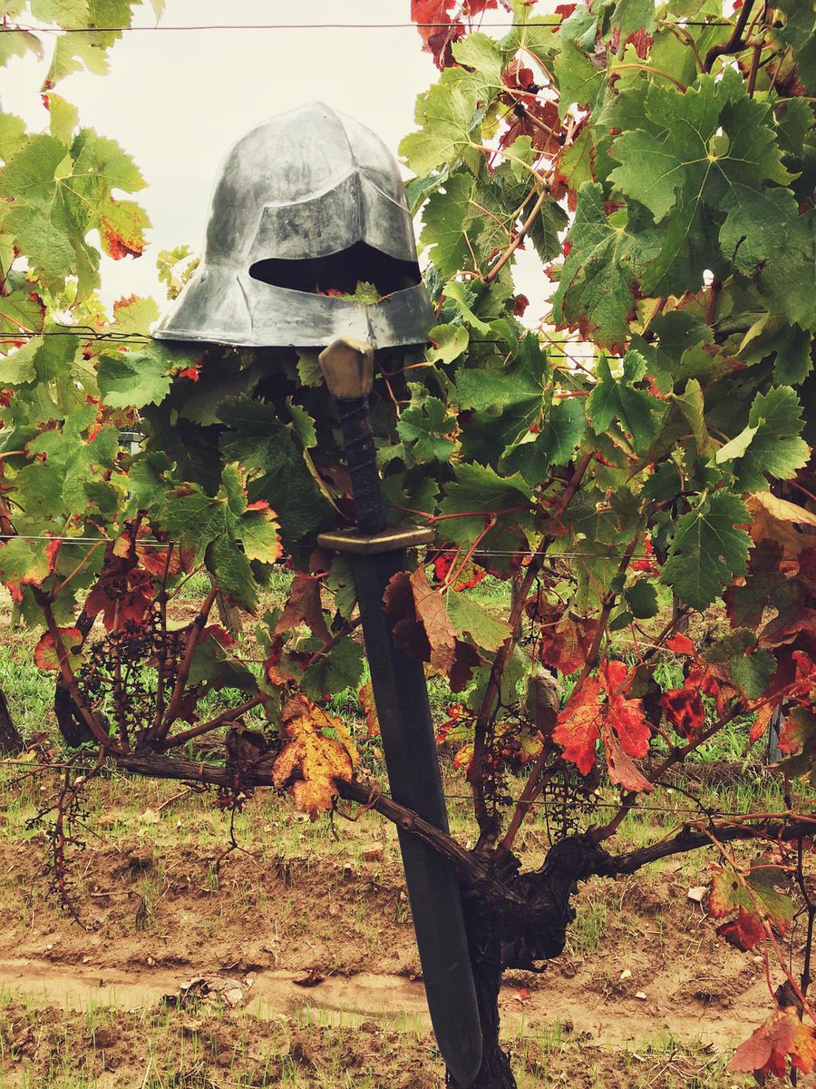 LabatailledeC's tweet photo. Les vignerons ont préparés de quoi étancher la soif de nos soldats pour les prochaines années, mais pas qu’eux ! Nous vous attendons cet été pour notre spectacle mais aussi pour déguster les délicieux cépages de notre territoire.
#vin #cotesdecastillon #vignes #vendanges #cru2020 https://t.co/3vcP58FSYr