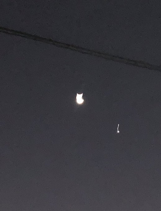 三日月のtwitterイラスト検索結果