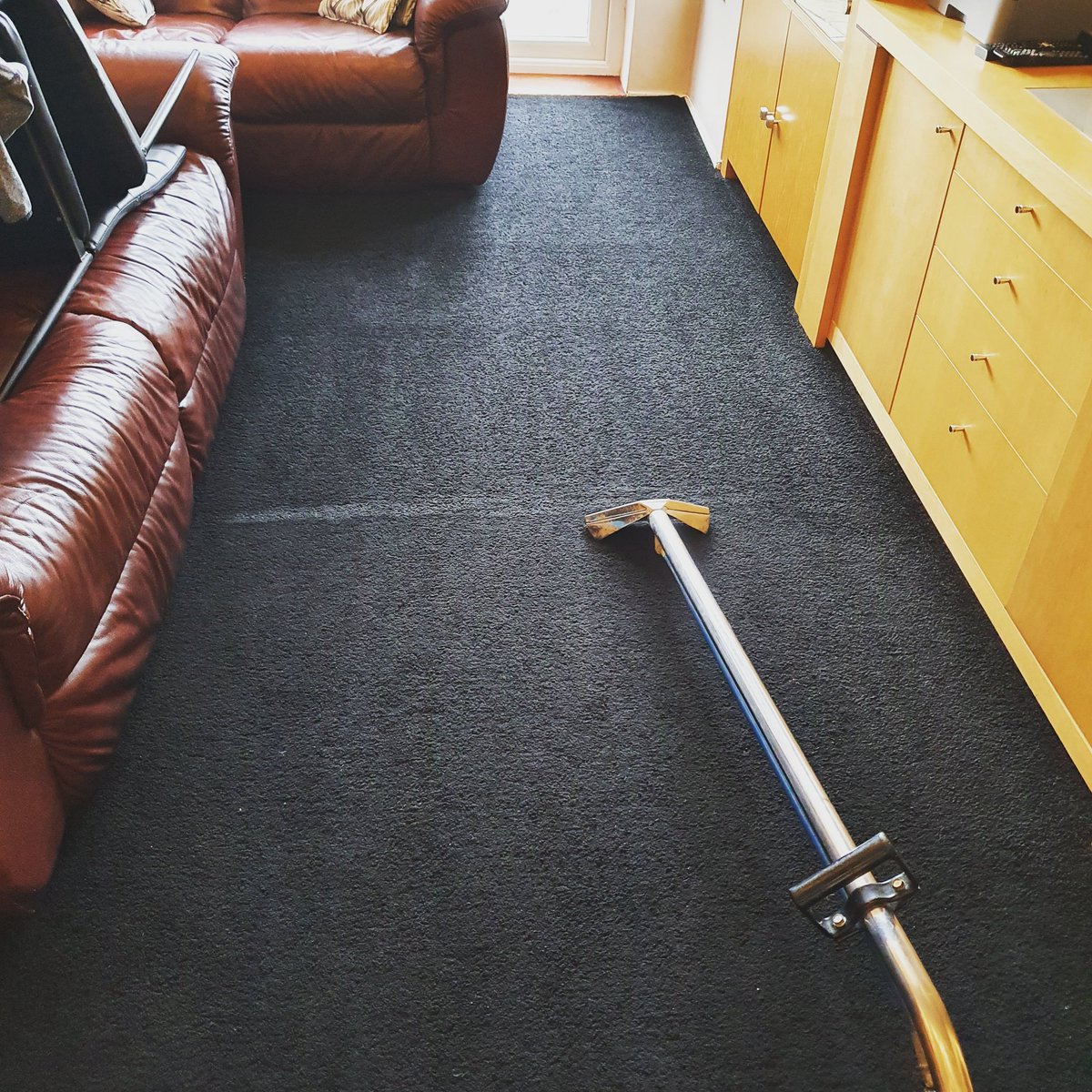 Professional Carpet Cleaning Services
