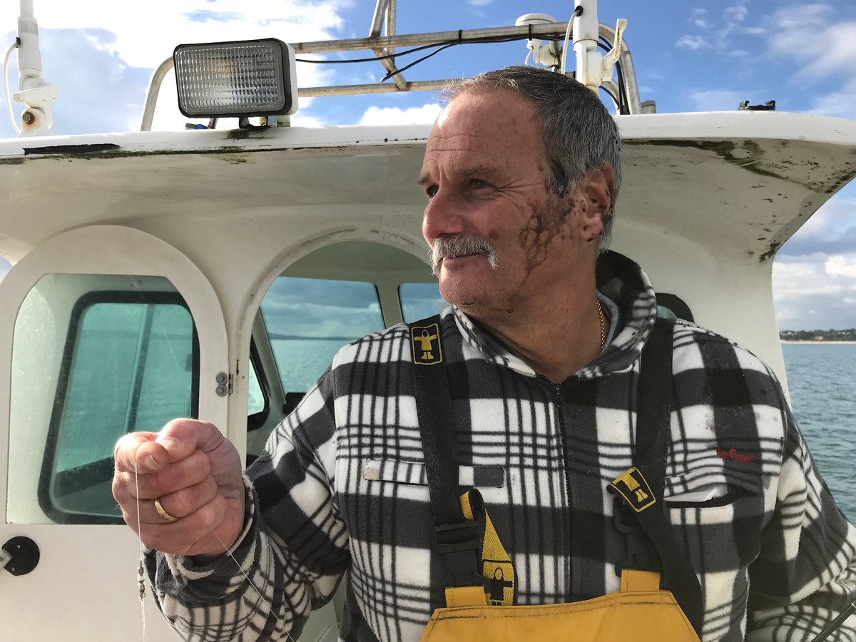 HappyHooker1157's tweet photo. Decided to go fishing yesterday was a last minute trip.
Wish we hadn’t bothered 😕🙄Bass didn’t want to know,so we stopped off to try and get some Inky Devils,even they didn’t want to know 🦑🦑but as you can see Grumps got very close and personal to one 😂😂 #inkyface https://t.co/XEKAj3vNh4