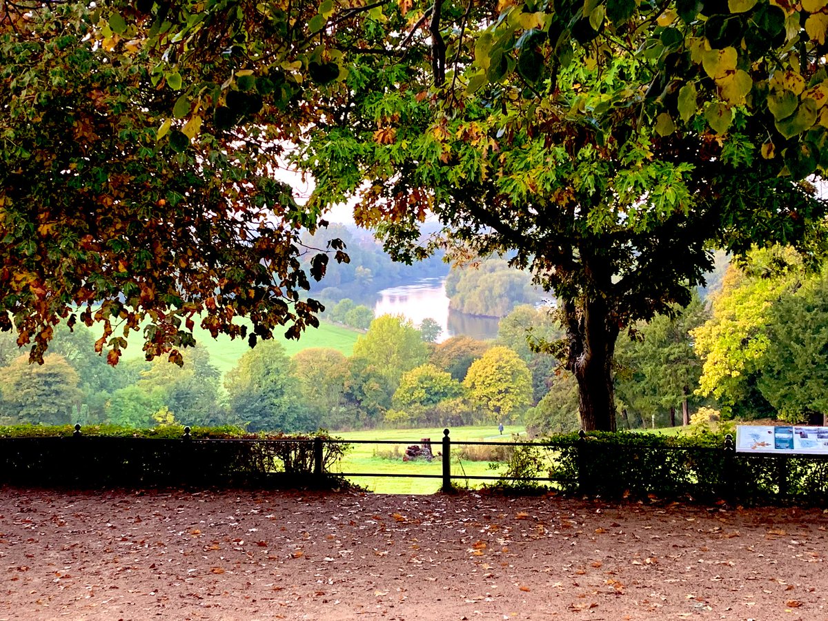 In my final stages of my PhD I am very grateful for the beautiful #nature that #Richmond and #RichmondPark are offering. It’s always an oasis of #peace and #beauty in busy #London ☺️