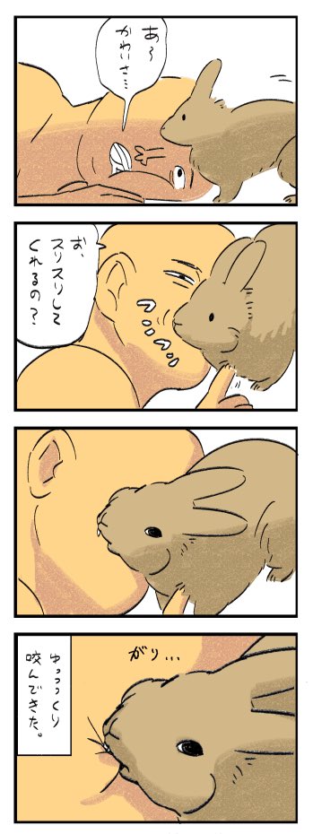 うちのうさぎ 