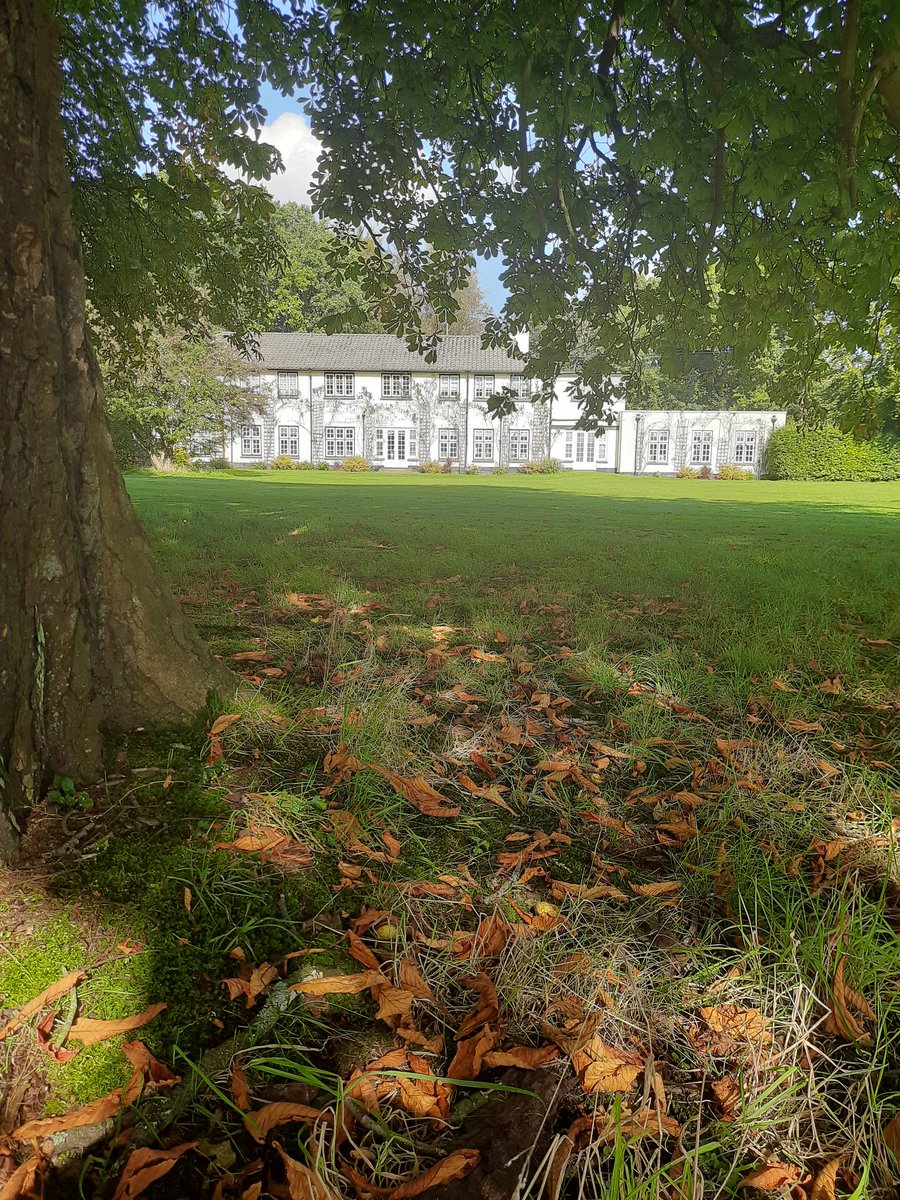 ChampneysColl's tweet image. Feeling very autumnal here today 🍂🍁🍂

#autumnfalls #autumn #WednesdayVibes