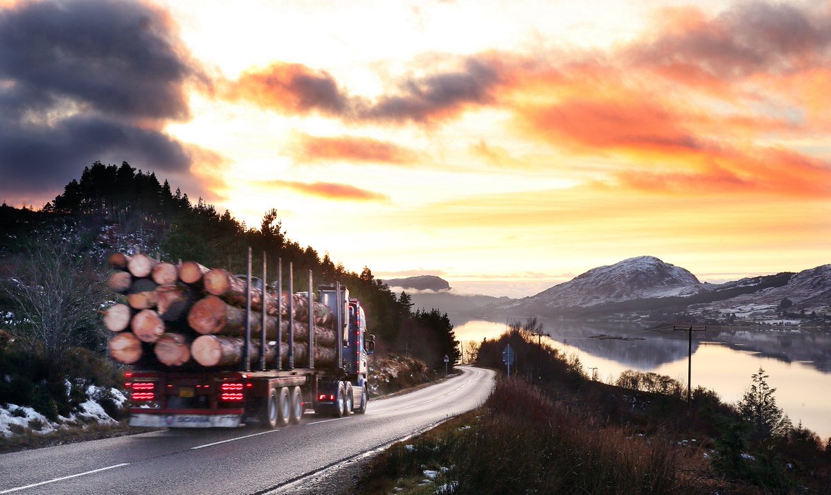 Moving 11 million tonnes of timber from Britain’s forests over our rural roads is not a piece of cake, but maybe it is your cup of tea.
Confor is hiring a Timber Transport Officer, apply by the 16th of November. Photo: WHFPdotcom
 confor.org.uk/resources/jobs…