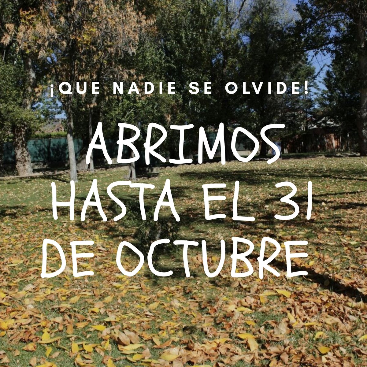 bardelparque's tweet photo. Con nuestros tolditos se está de lujo estos días! Disfrutad de un cafecito al aire libre hasta finales de mes!

#abiertoshasta31deoctubre
#airelibre #losmerenmolan https://t.co/T08C8tcZn6