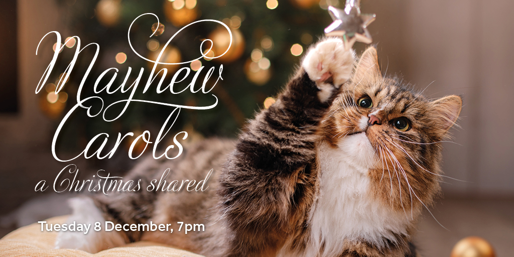 mayhew animal rescue centre