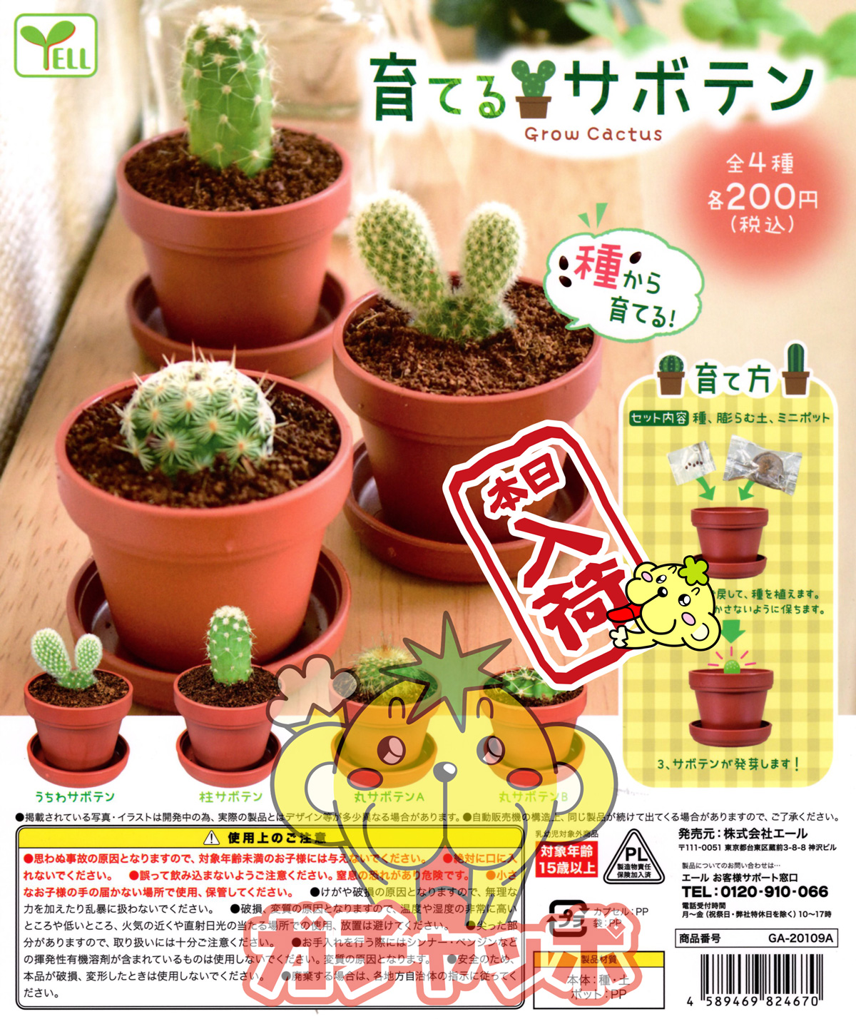 Sale 76 Off ミニチュアパーツ 鉢植えミニサボテン Ct 1 12スケール M S ネコポス配送対応 C Riosmauricio Com Sale 76 Off ミニチュアパーツ 鉢植えミニサボテン Ct 1 12スケール M S ネコポス配送対応 C Riosmauricio Com